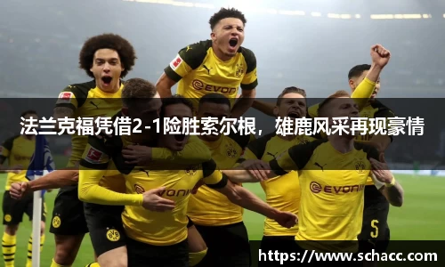 博鱼.boyu体育