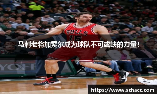 马刺老将加索尔成为球队不可或缺的力量！
