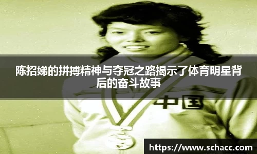 陈招娣的拼搏精神与夺冠之路揭示了体育明星背后的奋斗故事