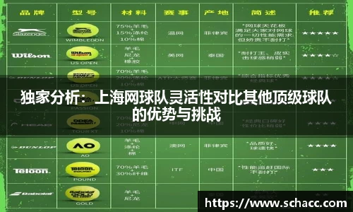 独家分析：上海网球队灵活性对比其他顶级球队的优势与挑战