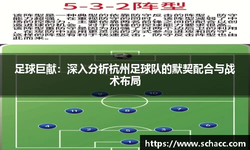 足球巨献：深入分析杭州足球队的默契配合与战术布局