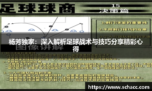 杨芳独家：深入解析足球战术与技巧分享精彩心得