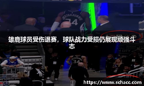 博鱼中国官方网站