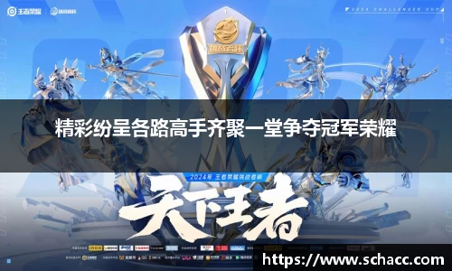 精彩纷呈各路高手齐聚一堂争夺冠军荣耀