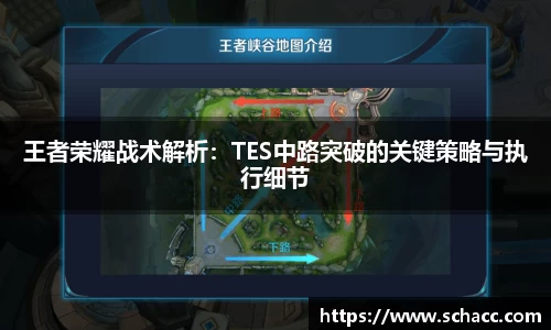 博鱼.体育官网
