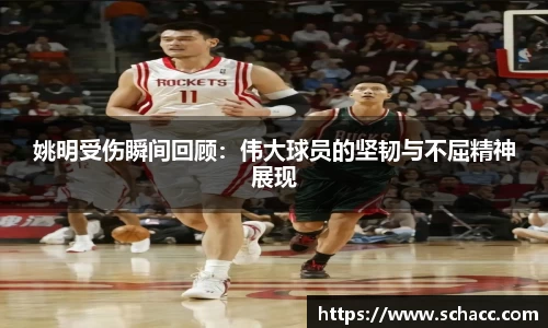 博鱼.体育官网