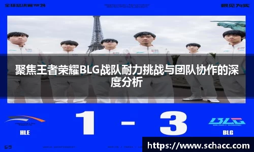 聚焦王者荣耀BLG战队耐力挑战与团队协作的深度分析