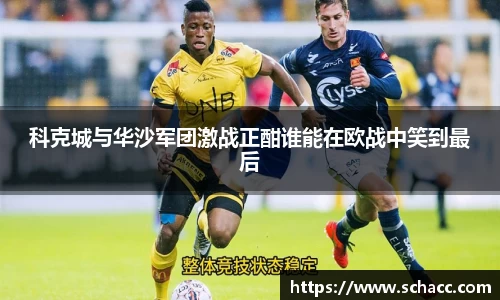 科克城与华沙军团激战正酣谁能在欧战中笑到最后