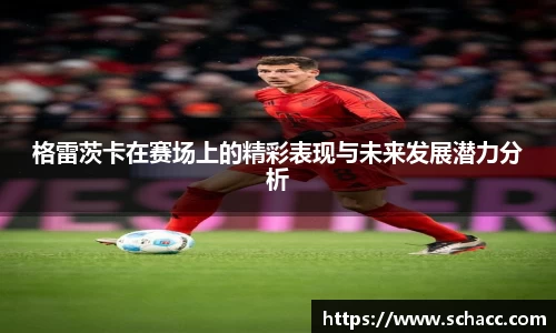 格雷茨卡在赛场上的精彩表现与未来发展潜力分析