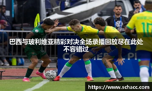 博鱼中国官方入口