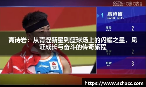 博鱼中国官方入口