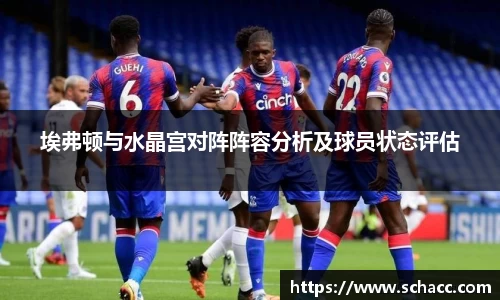 埃弗顿与水晶宫对阵阵容分析及球员状态评估