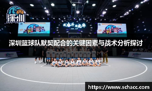 深圳篮球队默契配合的关键因素与战术分析探讨