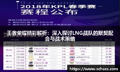 王者荣耀精彩解析：深入探讨LNG战队的默契配合与战术策略